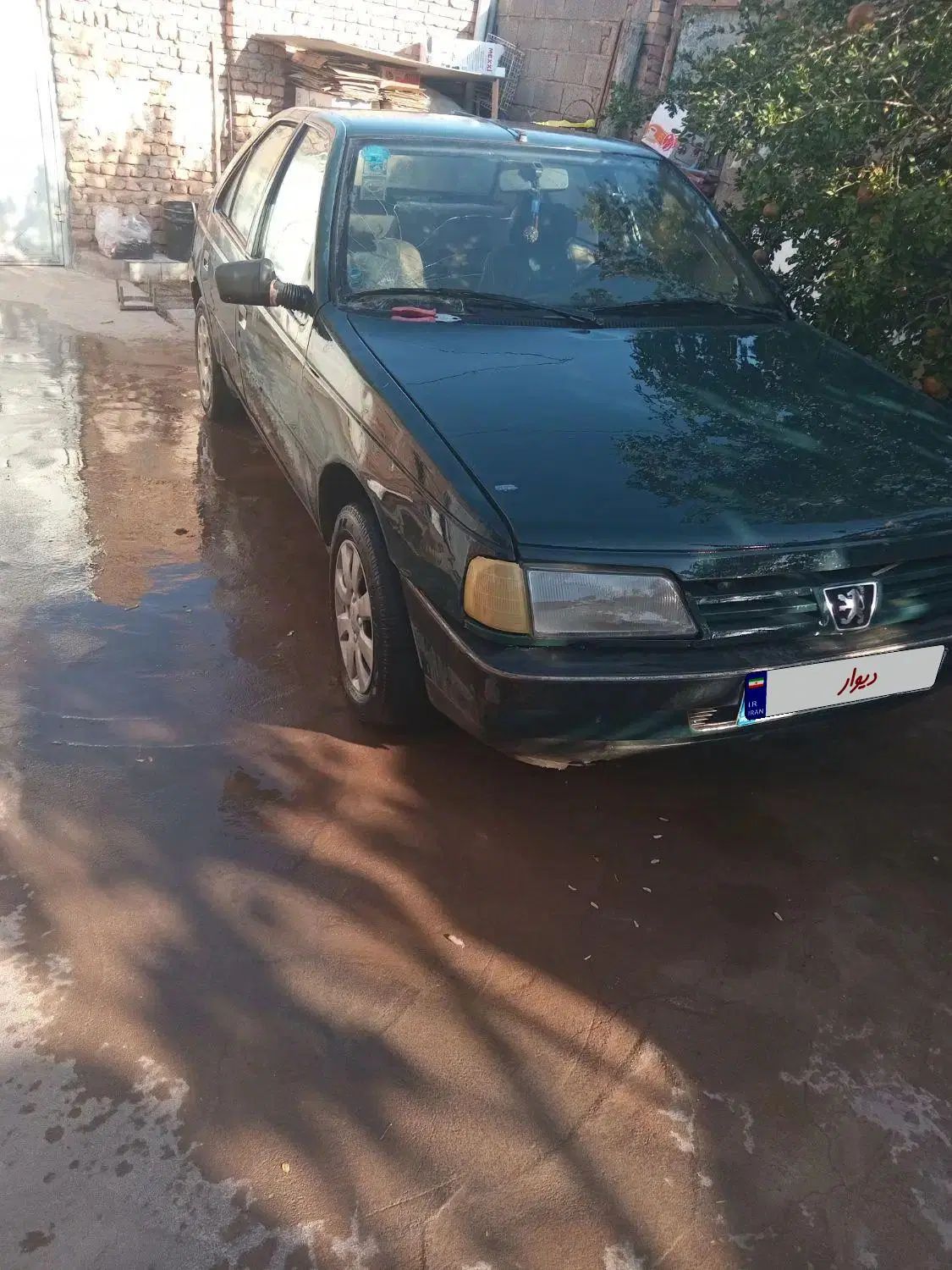 پژو آردی دوگانه سوز CNG - 1383