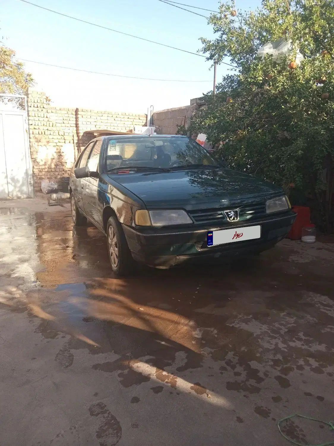 پژو آردی دوگانه سوز CNG - 1383