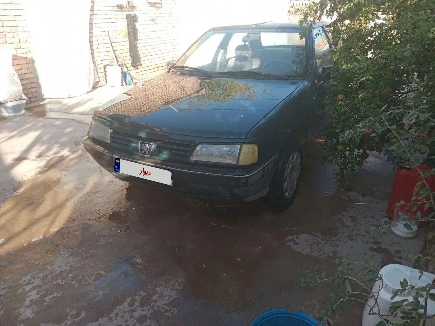 پژو آردی دوگانه سوز CNG - 1383