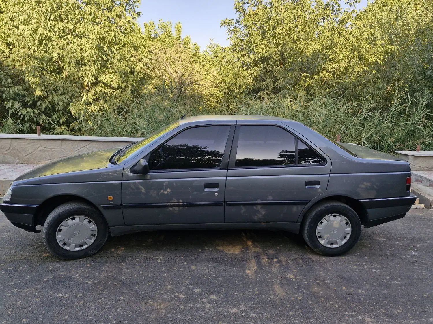 پژو 405 GLX - 1388