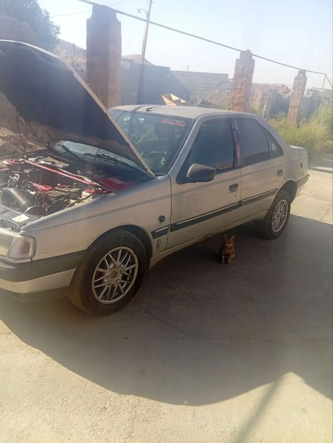 خودرو پژو، 405 آگهی ann_20437933