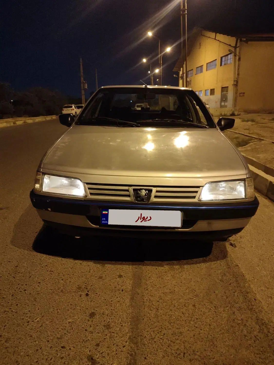 پژو 405 GLX - دوگانه سوز - 1389