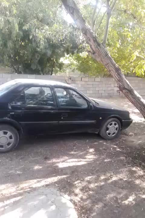 خودرو پژو، 405 آگهی ann_20440688