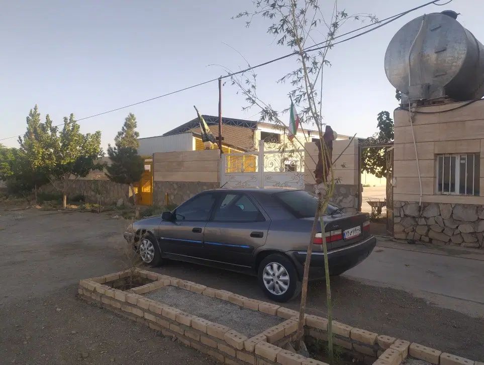 سیتروئن زانتیا SX - 1389