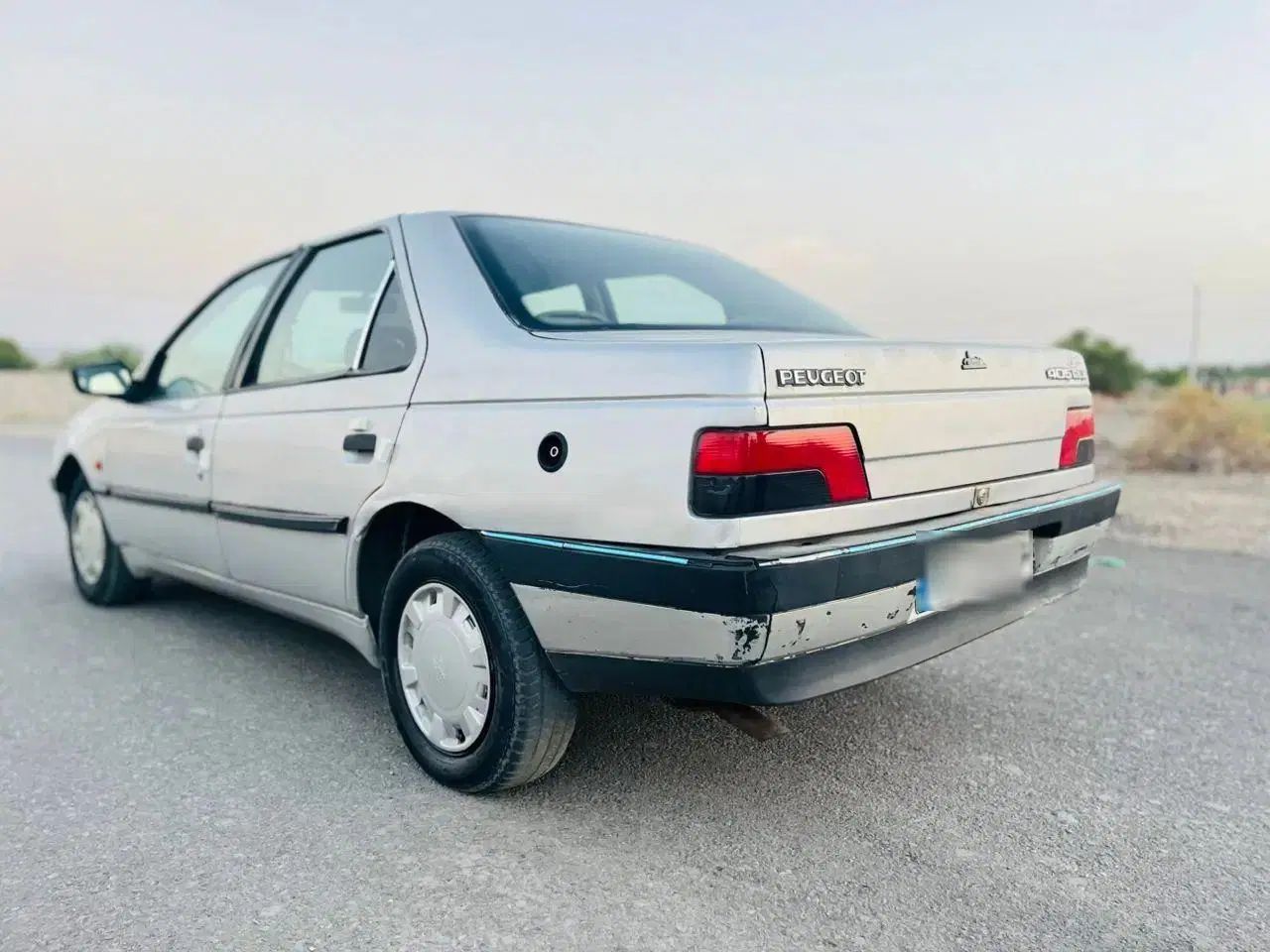 پژو 405 GLX - دوگانه سوز - 1390