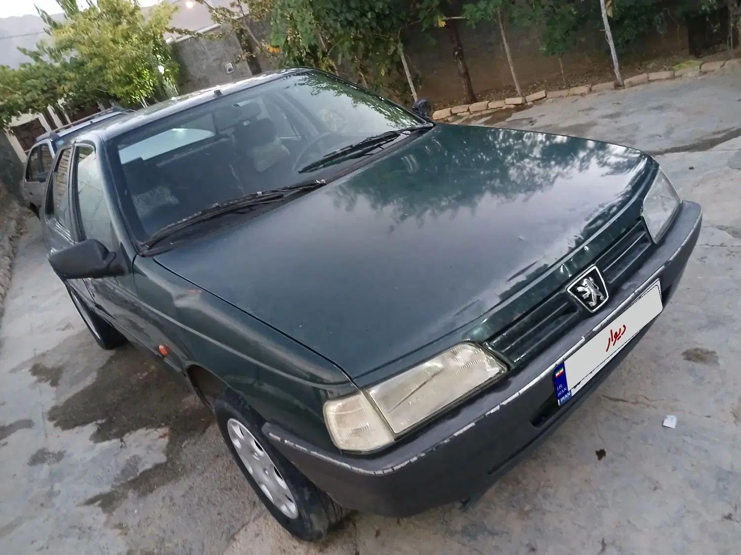 پژو آردی دوگانه سوز CNG - 1383