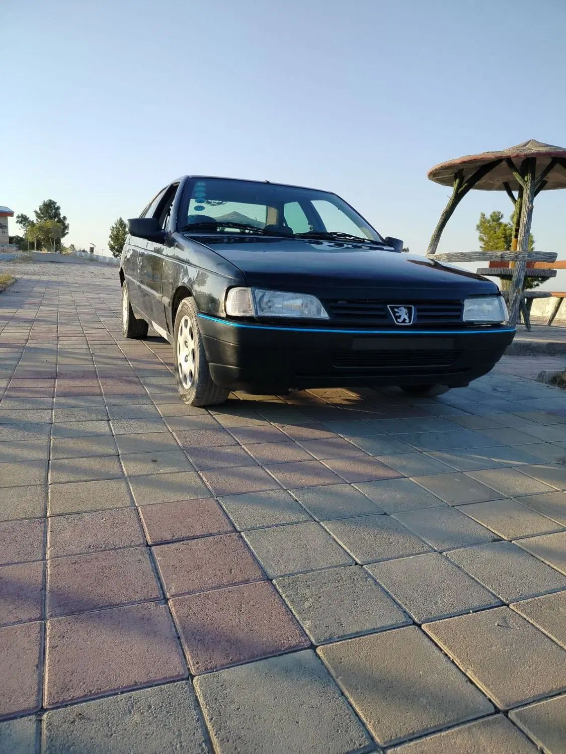 خودرو پژو، 405 آگهی ann_20443802