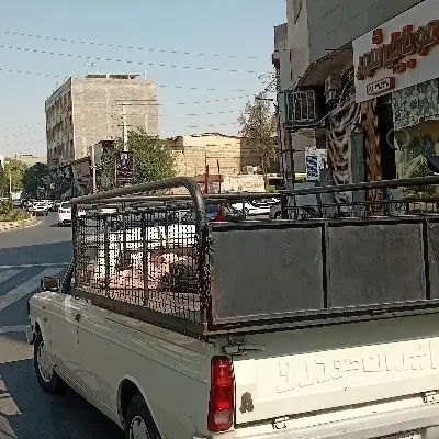 پیکان وانت بنزینی - 1393