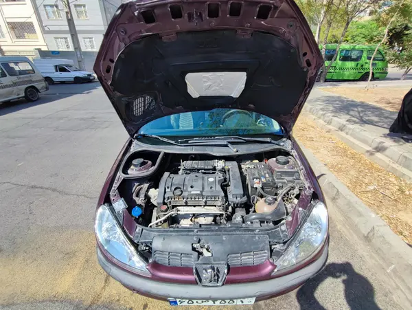 پژو ۲۰۶ صندوق دار v8 - 1393