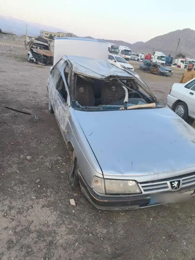 پژو 405 GLX - دوگانه سوز - 1388