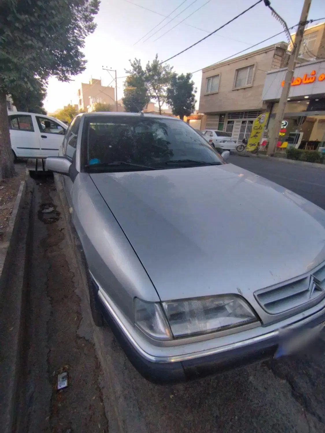 سیتروئن زانتیا SX - 1387