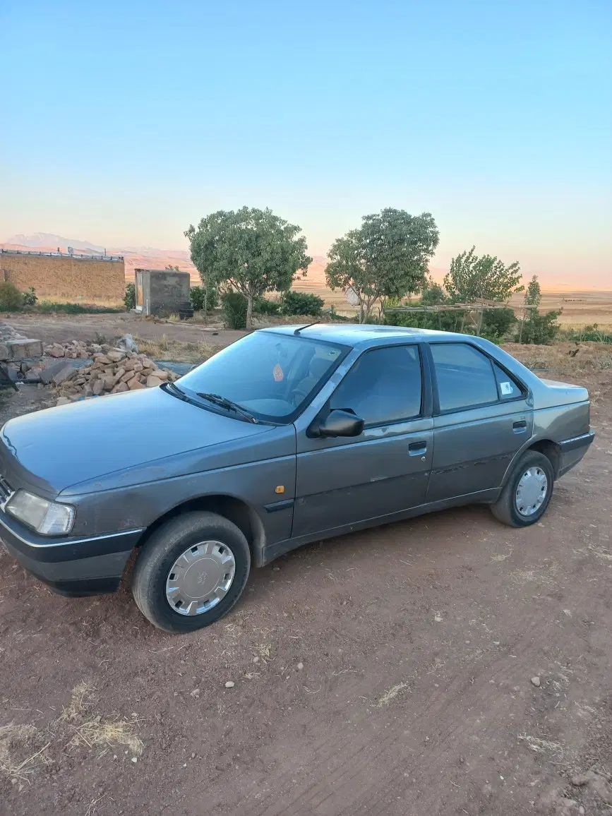 پژو 405 GLX - 1388