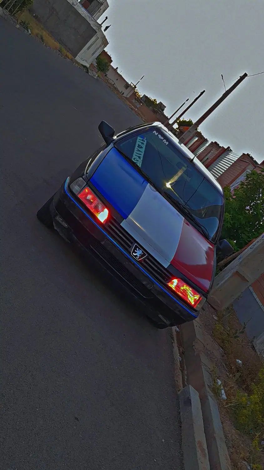 پژو 405 GLX - 1383