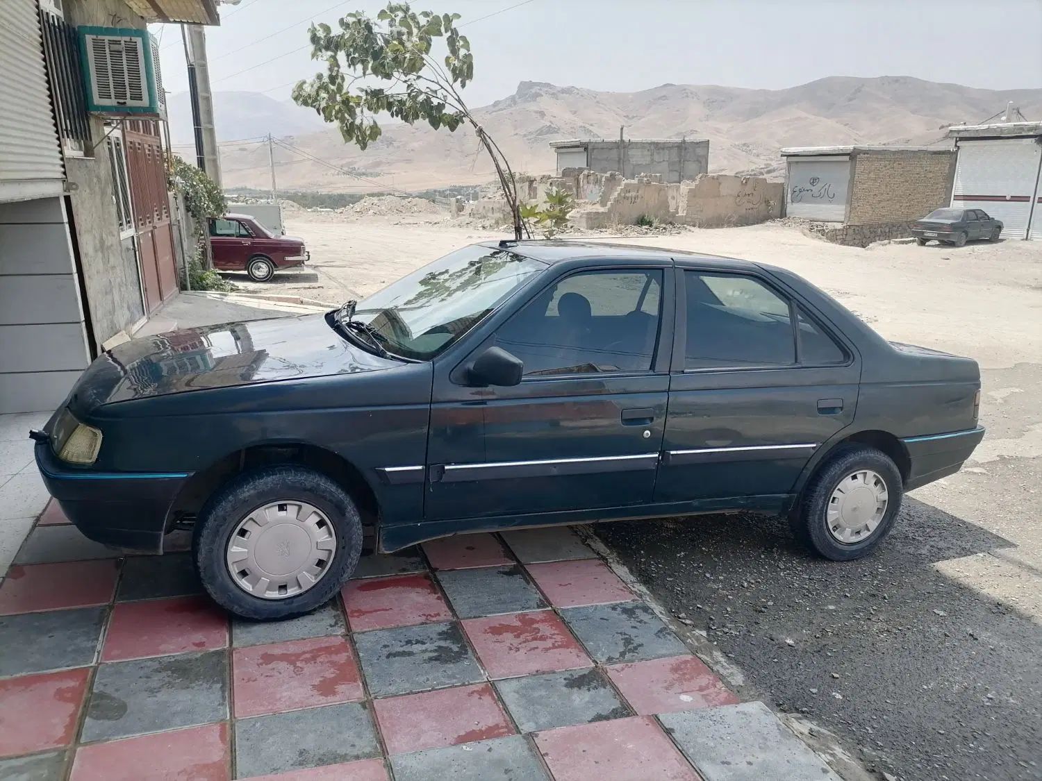 پژو آردی دوگانه سوز CNG - 1383