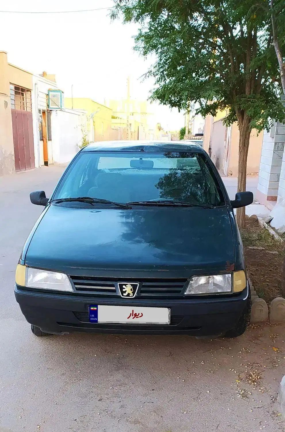پژو آردی دوگانه سوز CNG - 1383