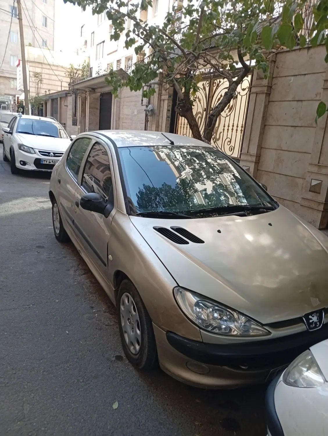 خودرو پژو، 206 آگهی ann_20449817