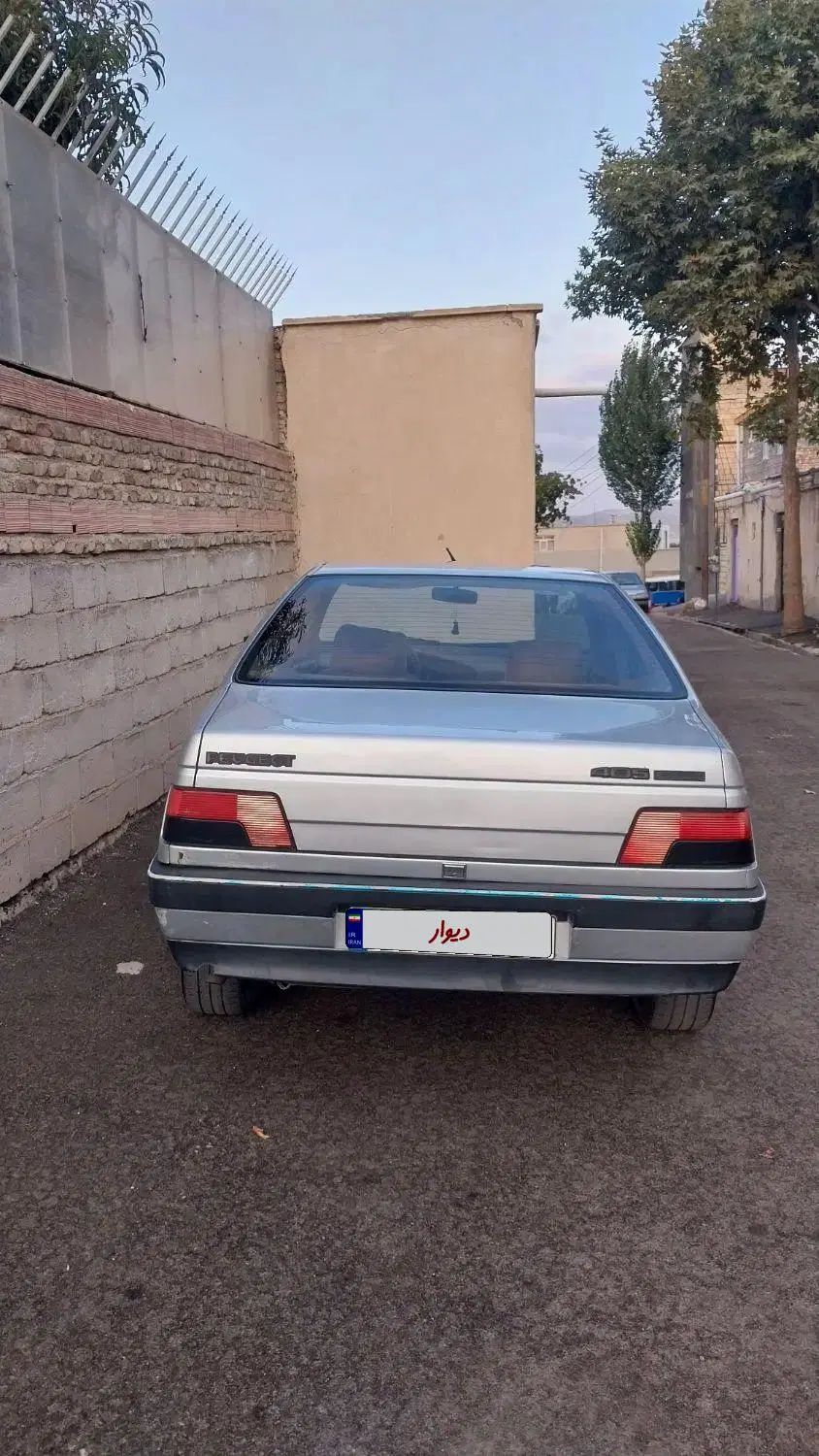 پژو 405 GLX - دوگانه سوز - 1391