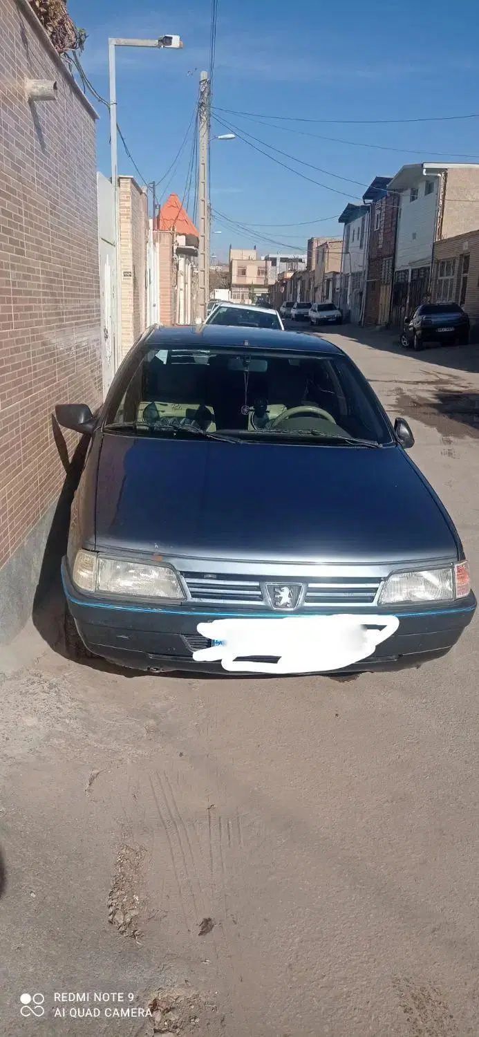 پژو 405 GL - دوگانه سوز CNG - 1369