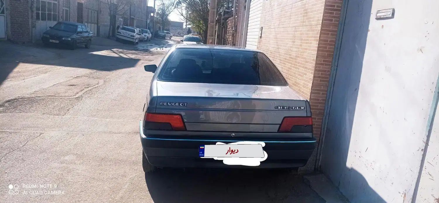 پژو 405 GL - دوگانه سوز CNG - 1369
