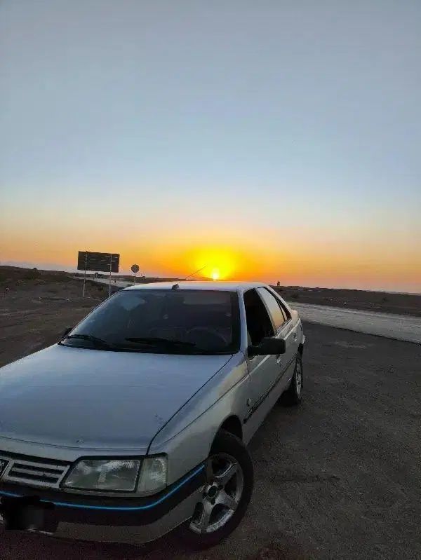 پژو 405 GLX - دوگانه سوز - 1388