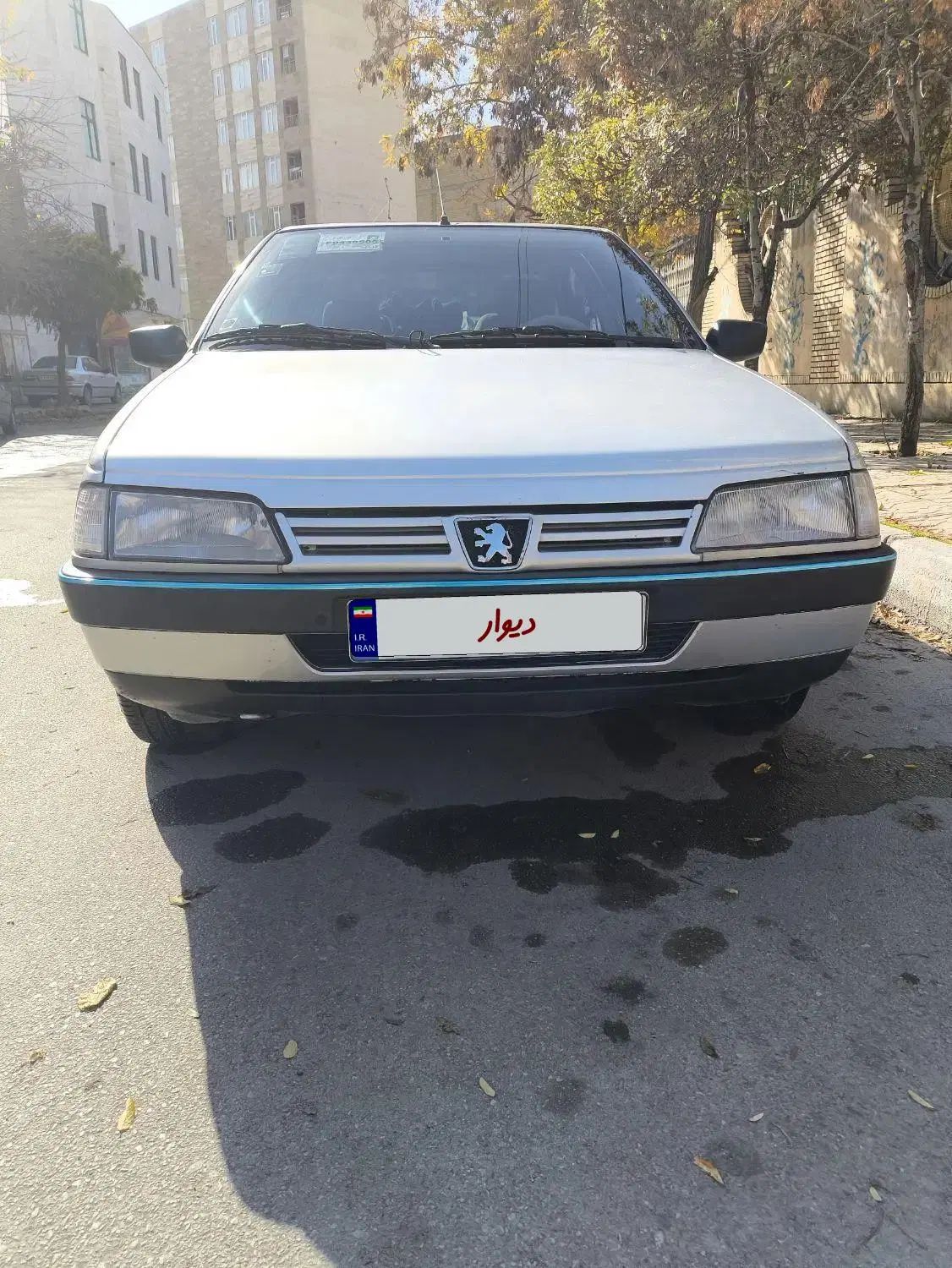 پژو 405 GL - دوگانه سوز CNG - 1369