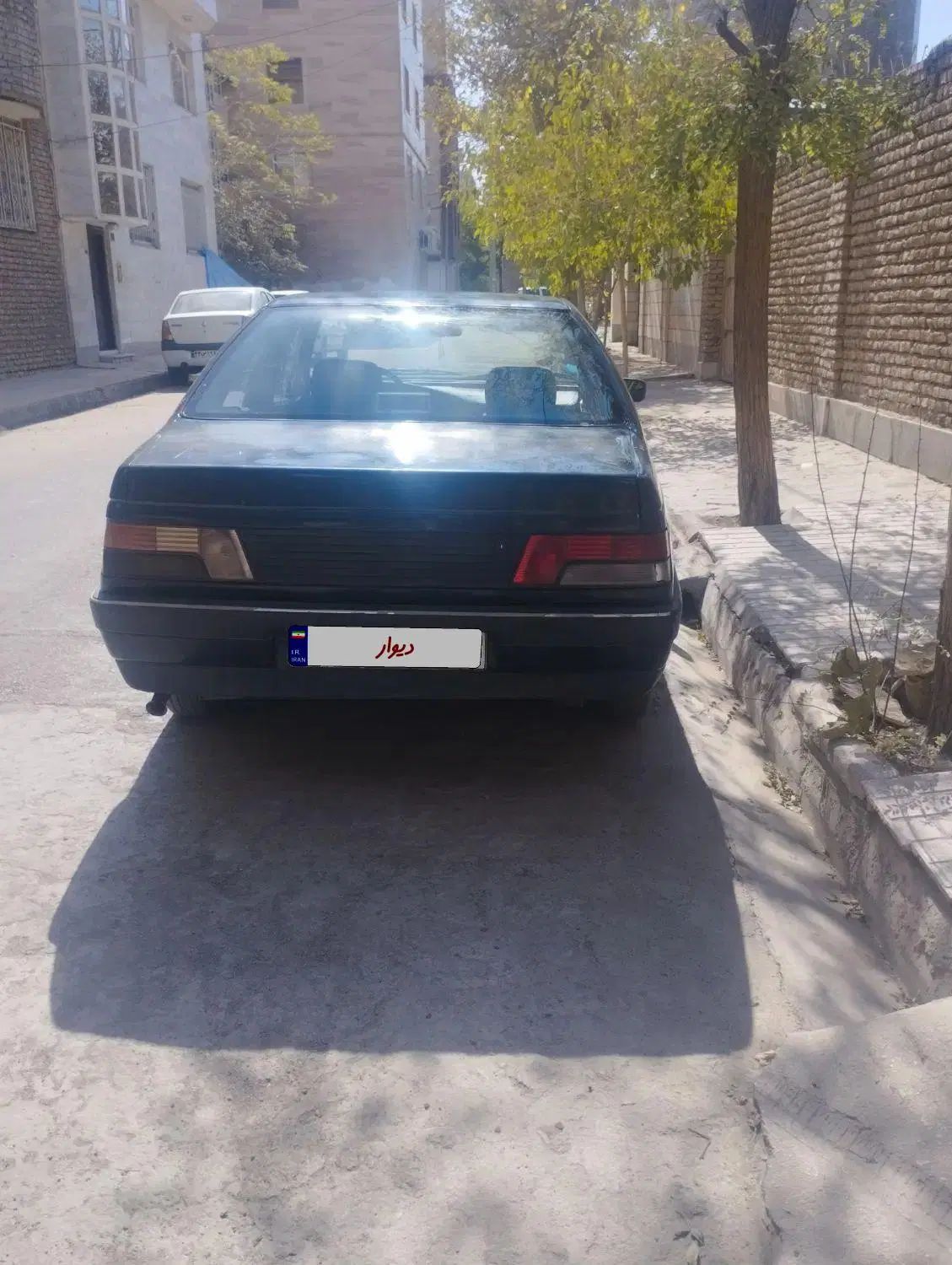 پژو آردی دوگانه سوز CNG - 1383