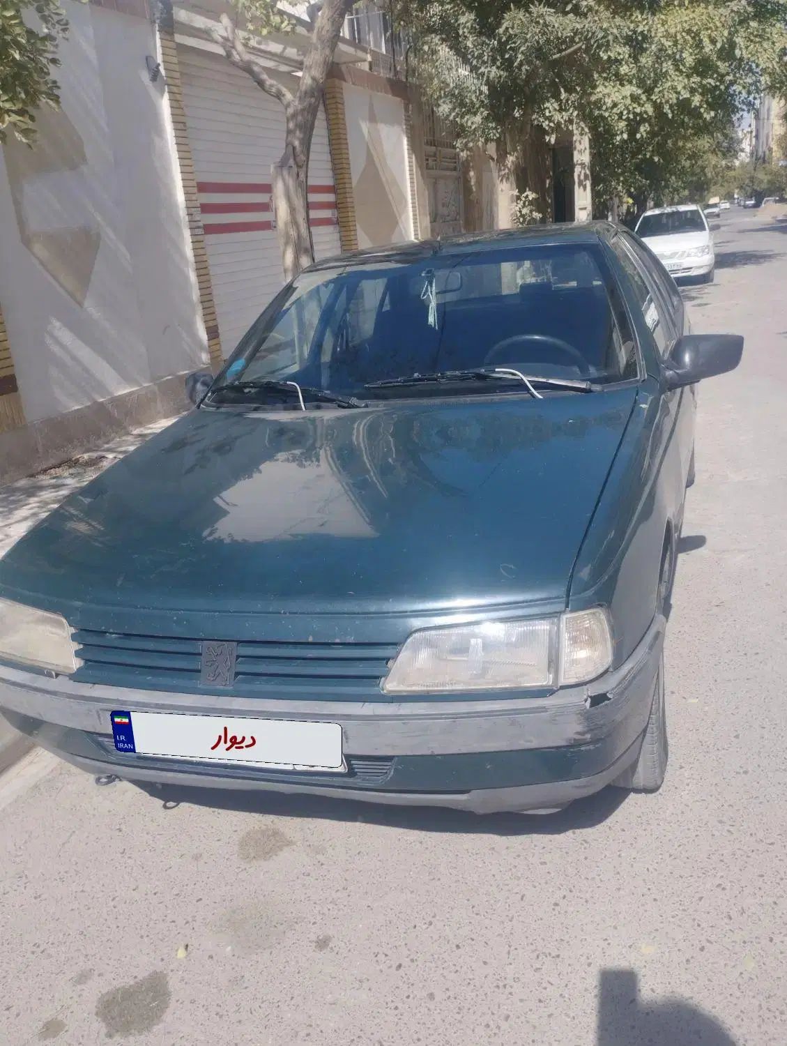 پژو آردی دوگانه سوز CNG - 1383