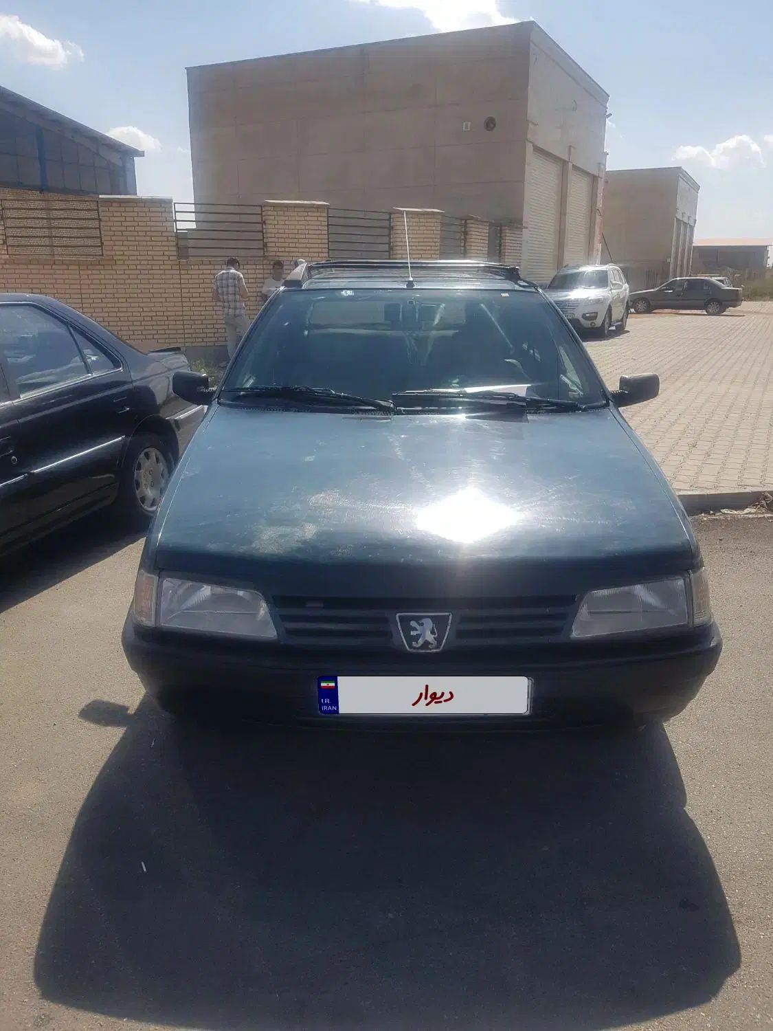 پژو آردی دوگانه سوز CNG - 1383