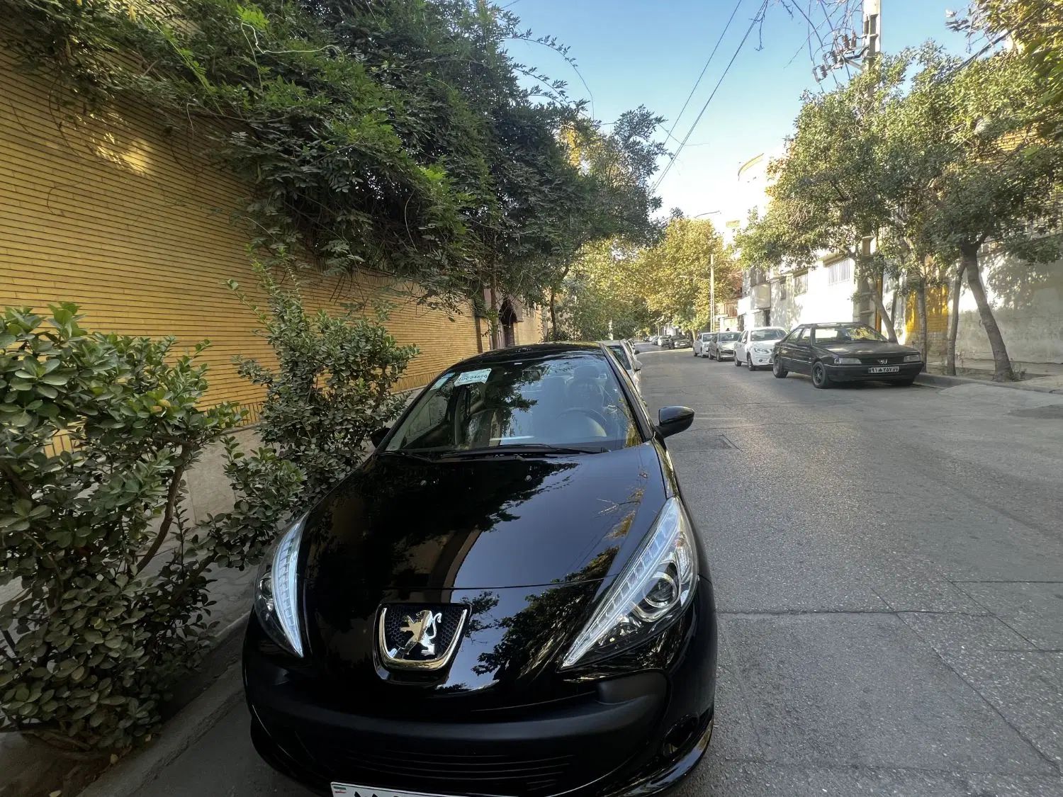 خودرو پژو، 207 آگهی ann_20453572