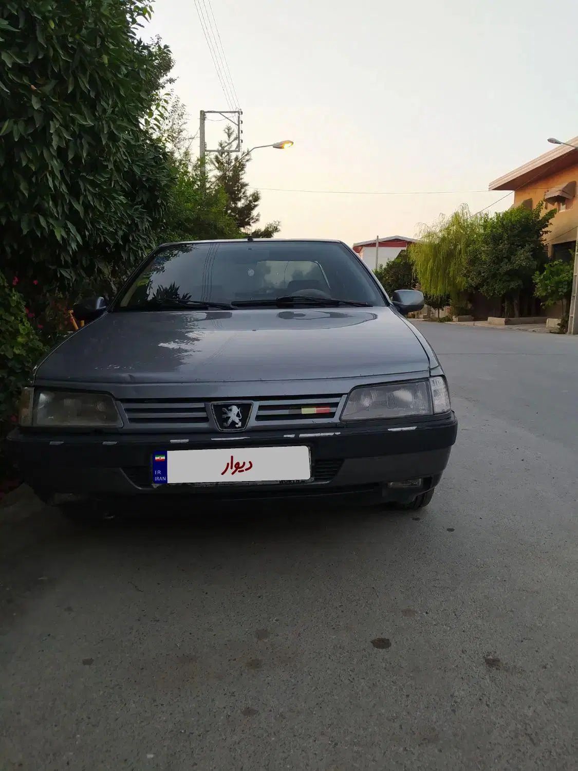 پژو 405 GLX - 1389