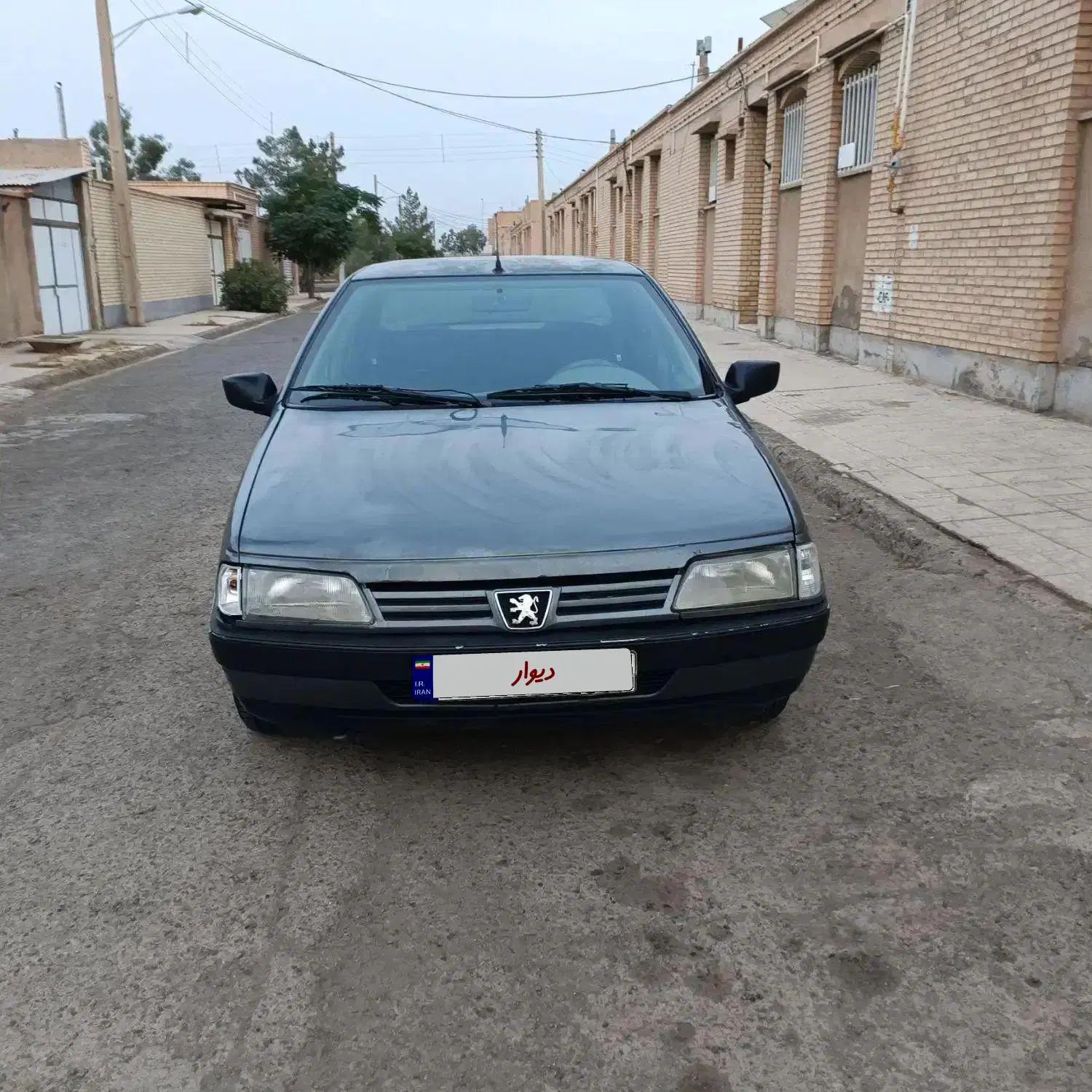 پژو 405 GLX - دوگانه سوز - 1393