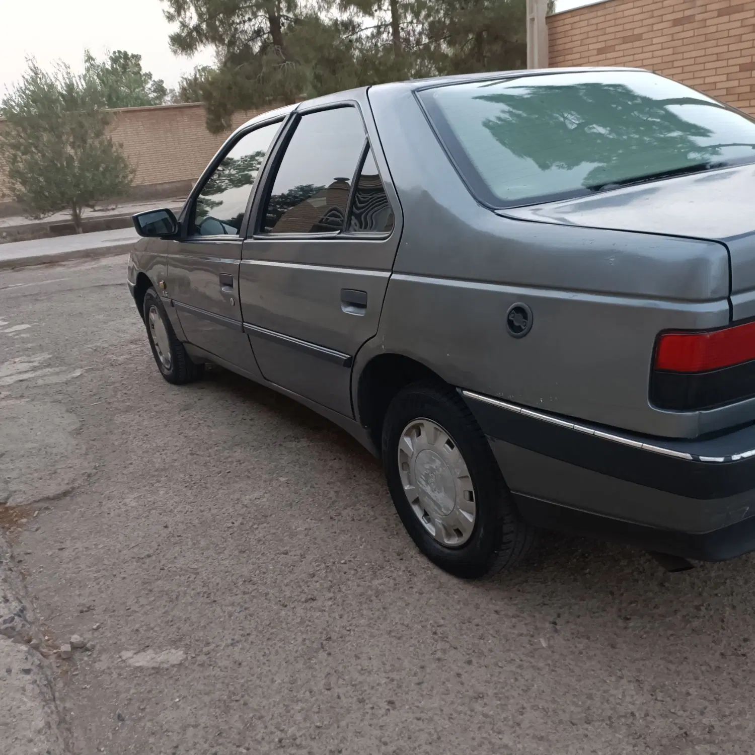پژو 405 GLX - دوگانه سوز - 1393