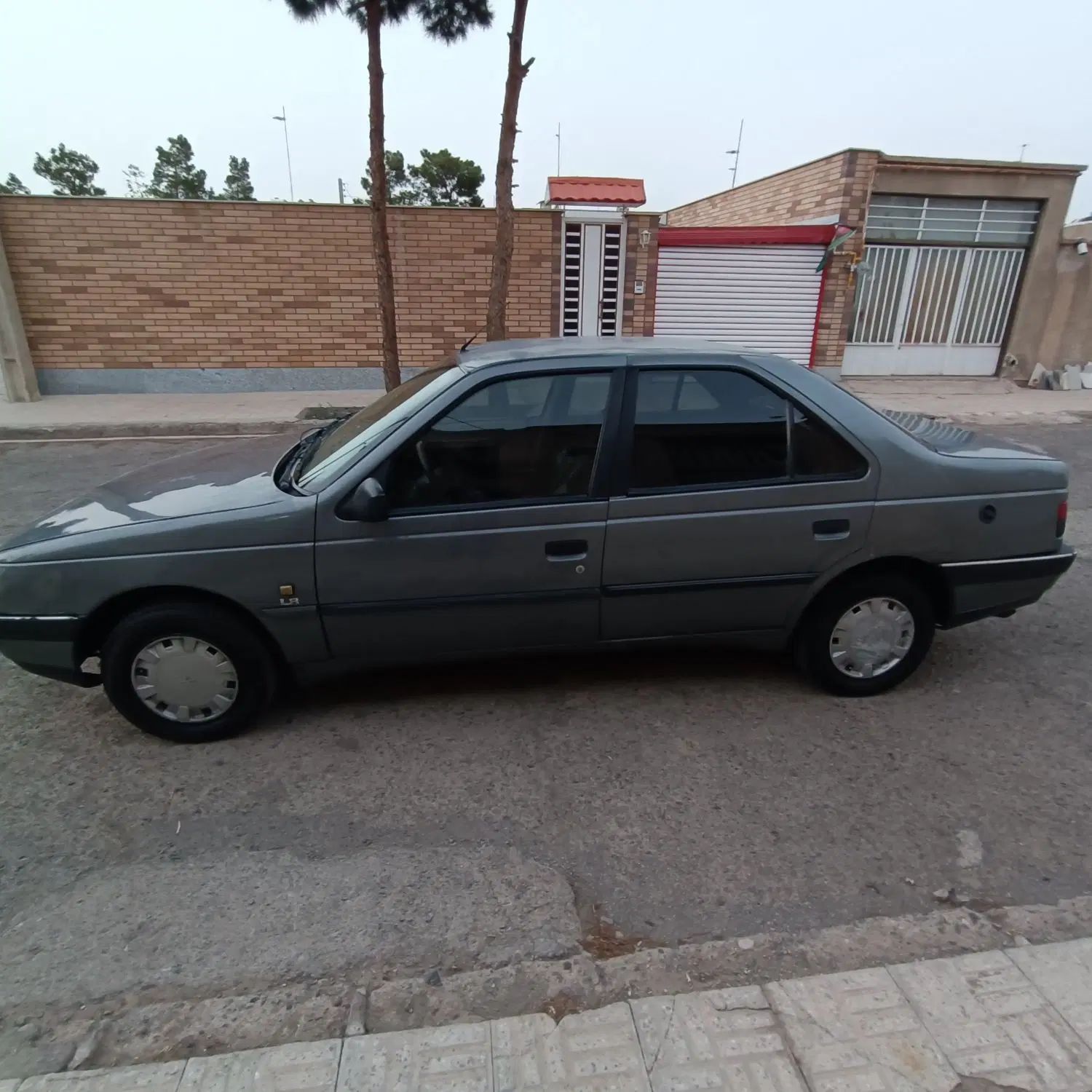 پژو 405 GLX - دوگانه سوز - 1393
