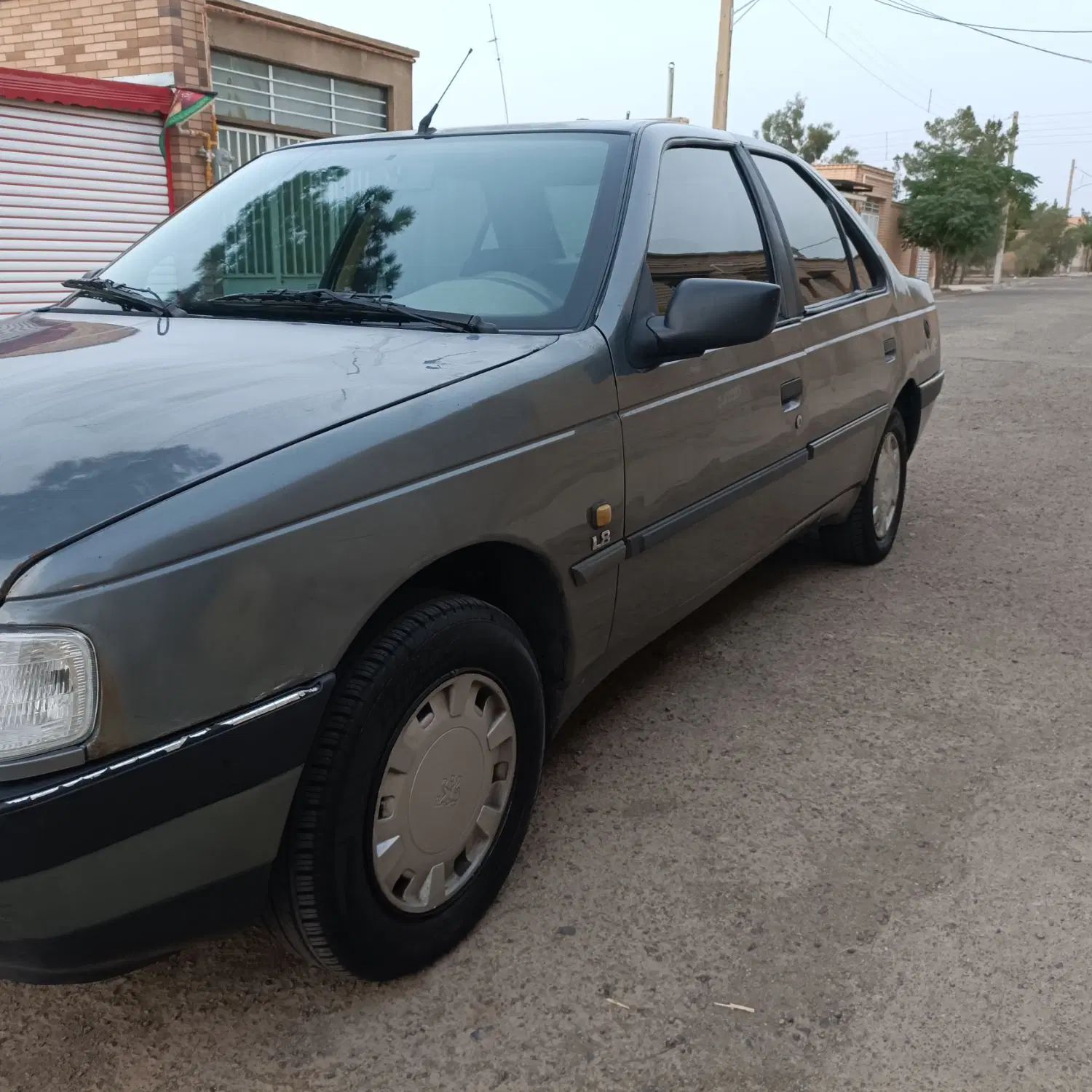 پژو 405 GLX - دوگانه سوز - 1393