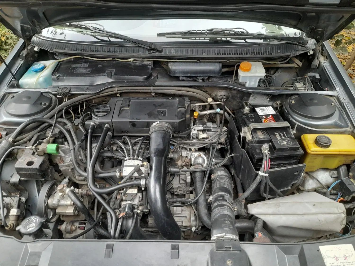 پژو 405 GL - دوگانه سوز CNG - 1379