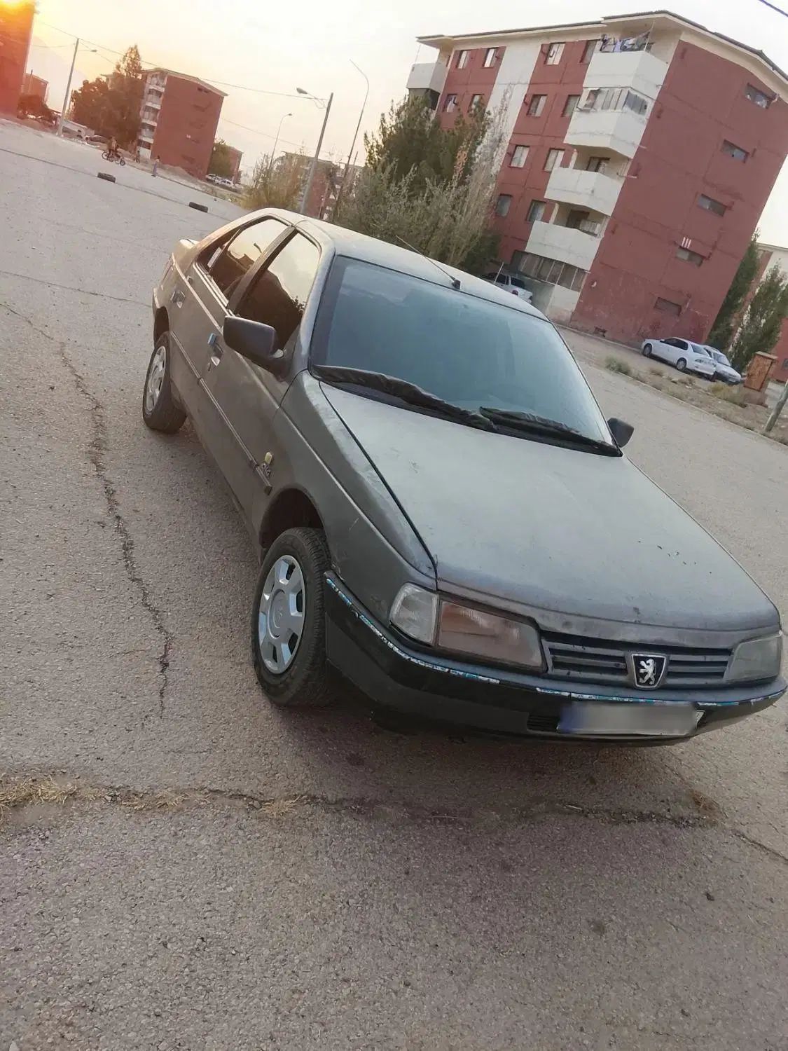 پژو 405 GLX - 1391