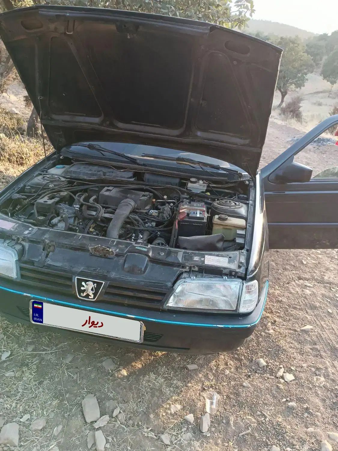 پژو 405 GLX - 1392