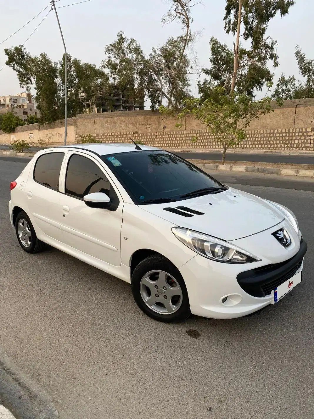 خودرو پژو، 207 آگهی ann_20455432