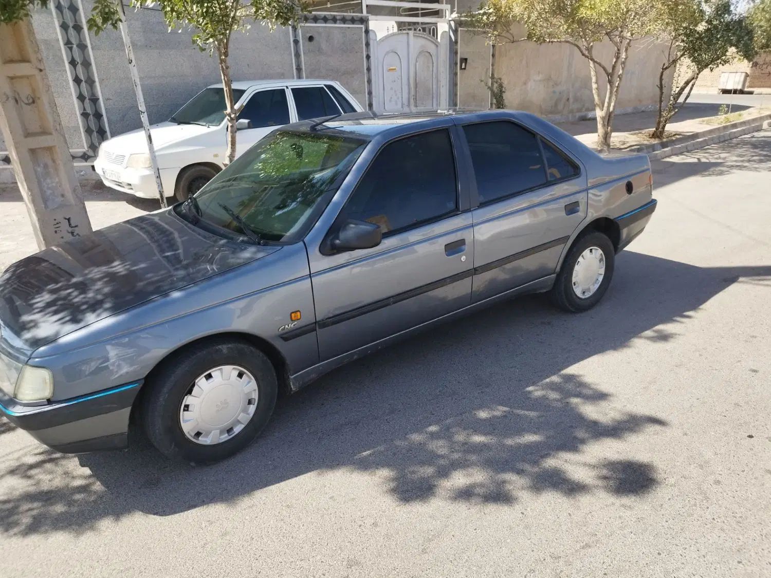 خودرو پژو، 405 آگهی ann_20455647