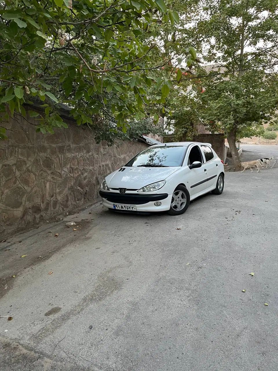 خودرو پژو، 206 آگهی ann_20456097