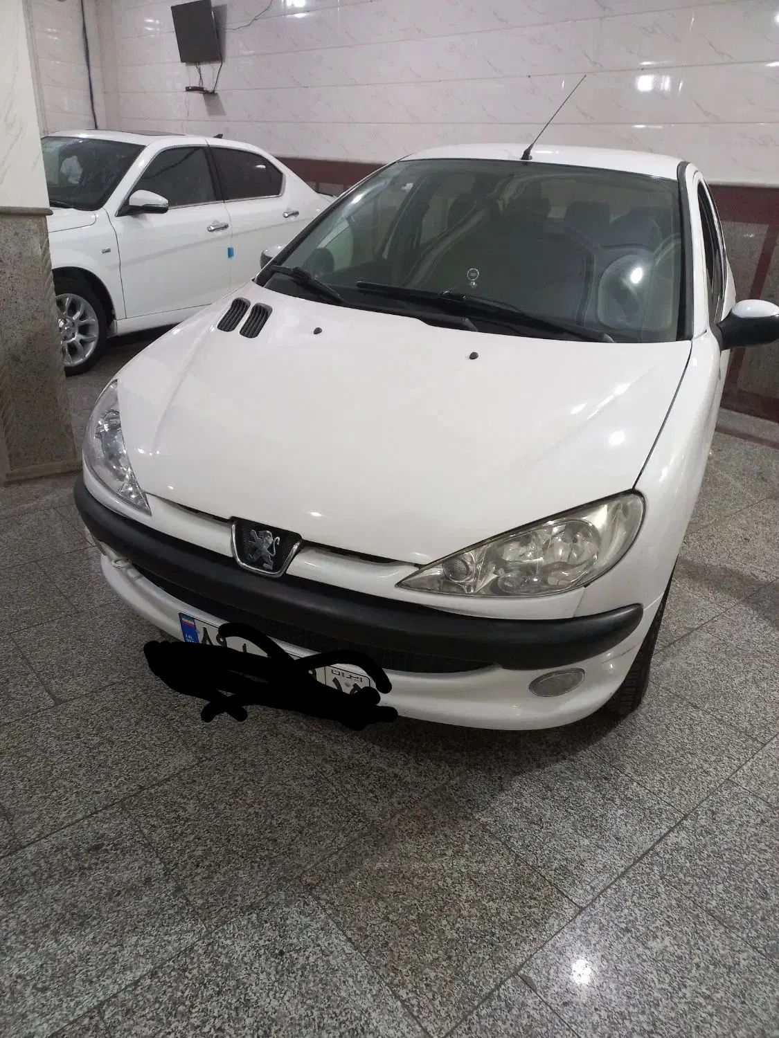 پژو ۲۰۶ صندوق دار v8 - 1393