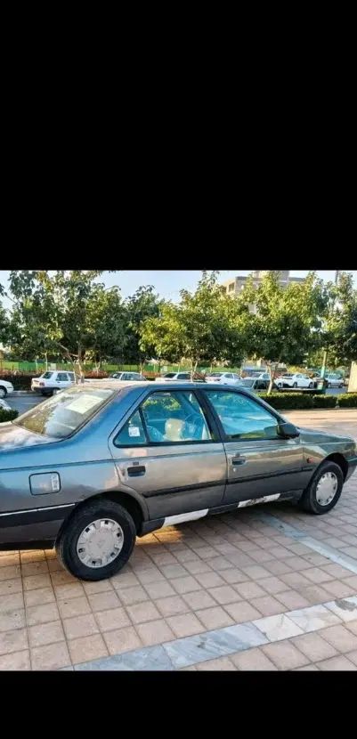 پژو 405 GLX - دوگانه سوز - 1384