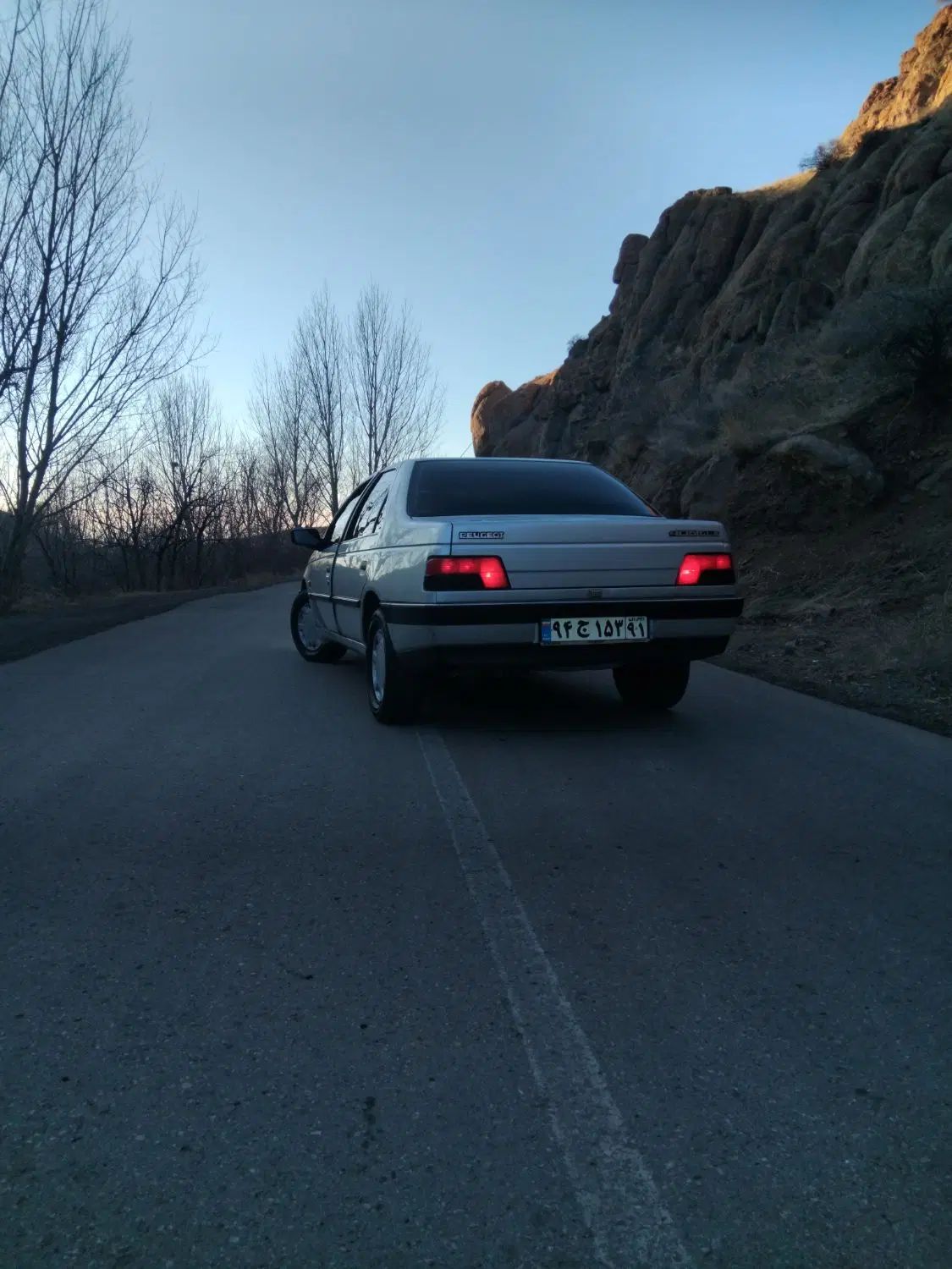 پژو 405 GLX - 1389