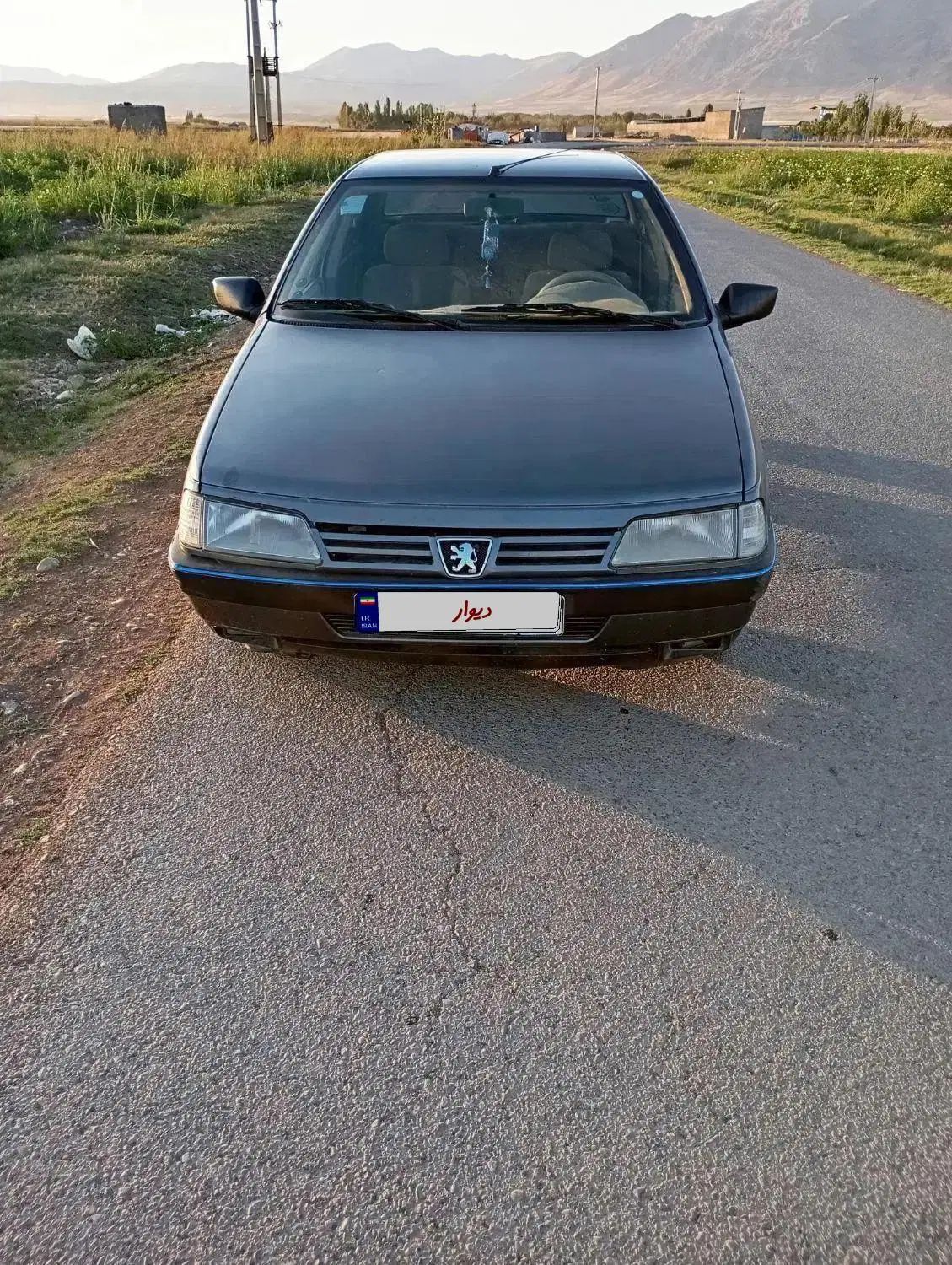 پژو 405 GLX - 1393