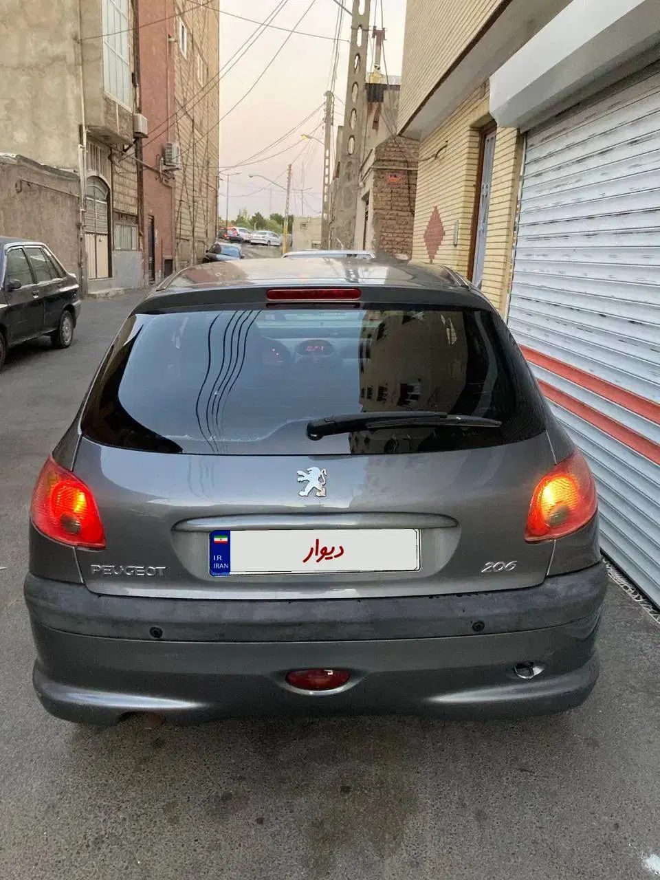 پژو 206 تیپ 5 - 1393