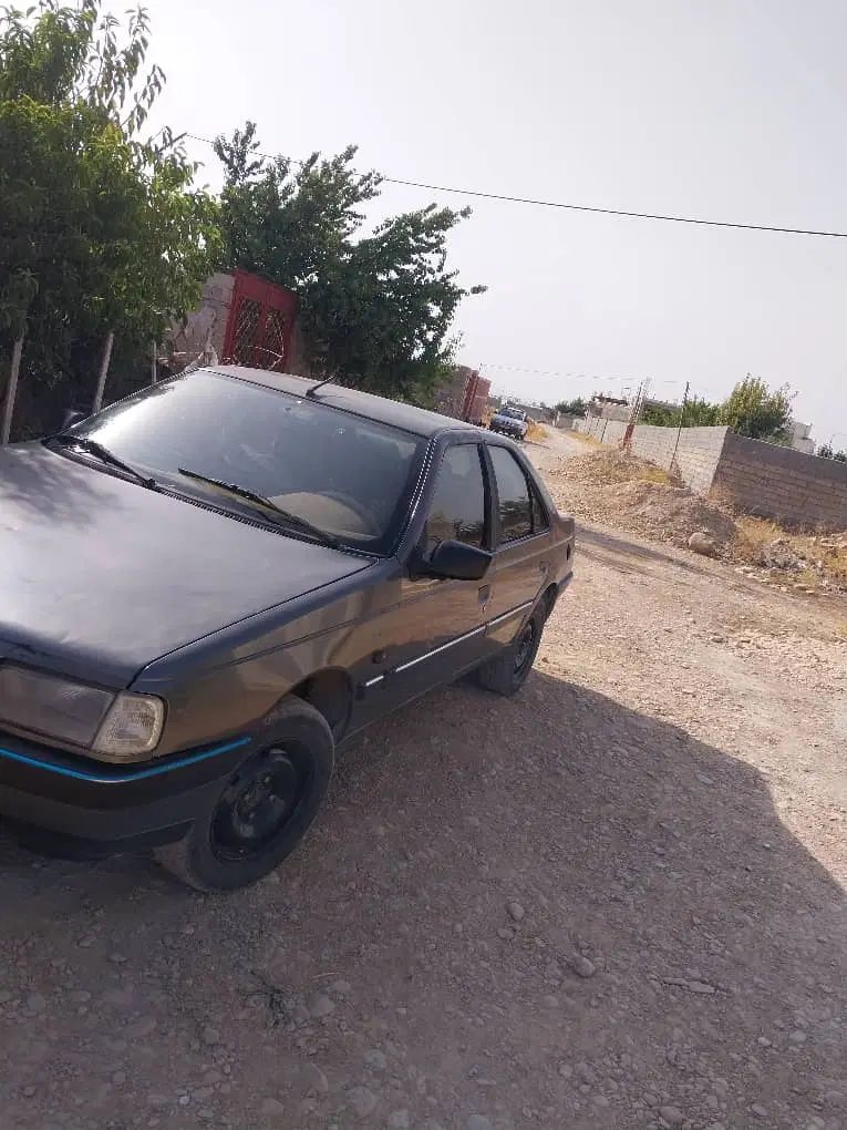 پژو 405 GLX - دوگانه سوز - 1394