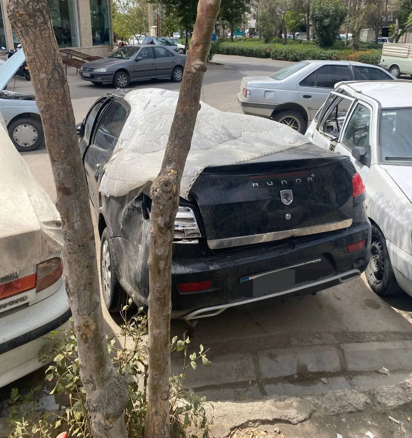رانا پلاس پانوراما - 1401