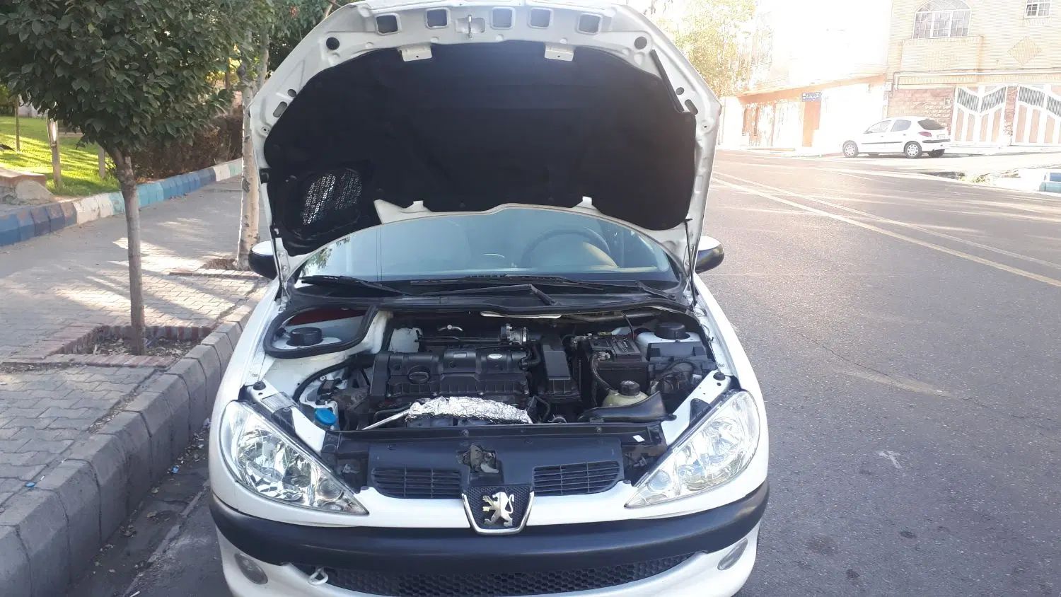 پژو ۲۰۶ صندوق دار v8 - 1393