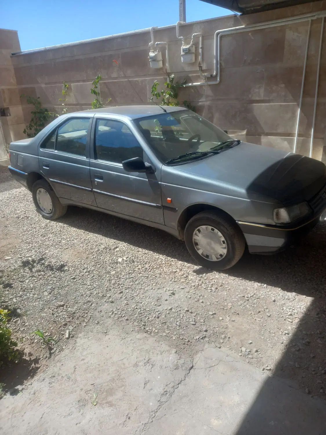 پژو 405 GLX - دوگانه سوز - 1392