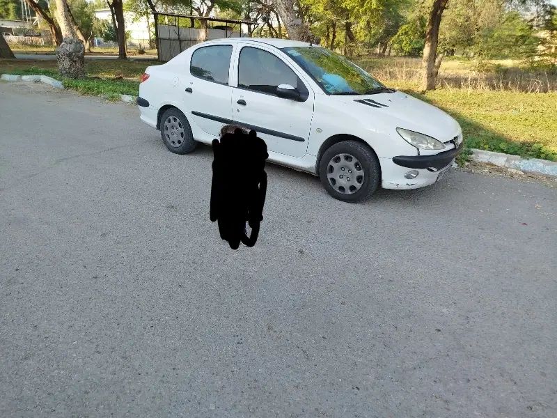 پژو ۲۰۶ صندوق دار v8 - 1393